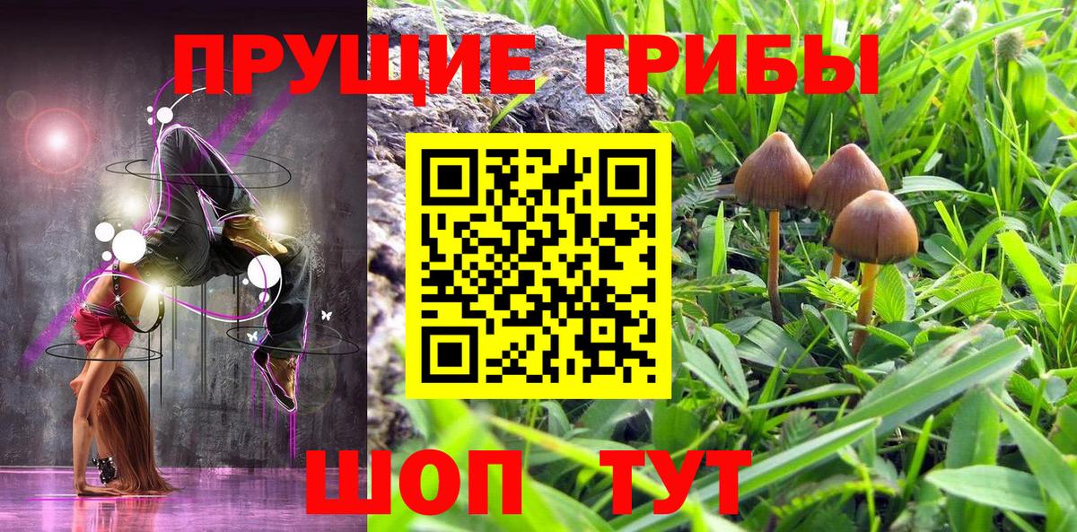 Галлюциногенные грибы Psilocybine cubensis Миасс