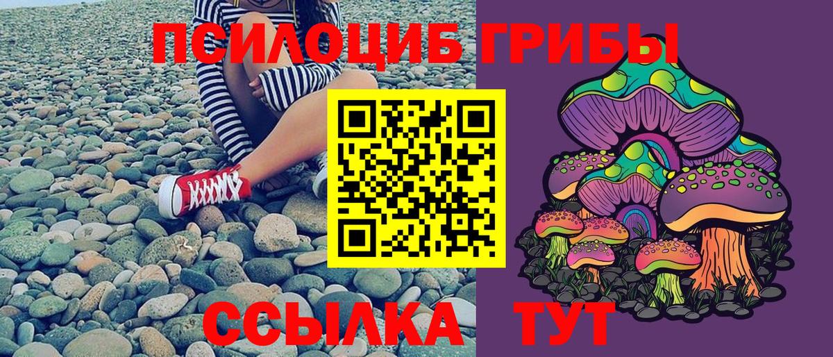 Псилоцибиновые грибы Psilocybe  Вход с VPN  Миасс 